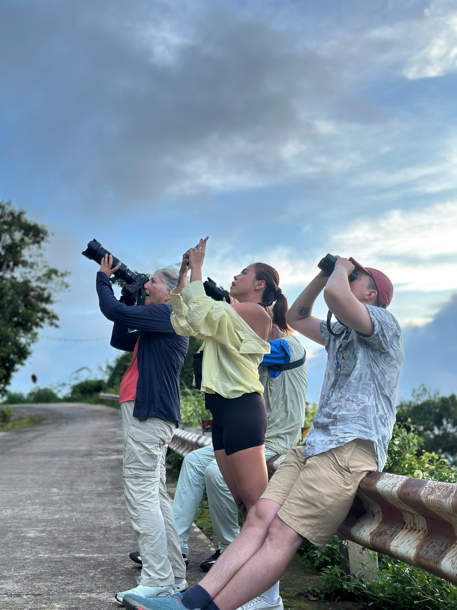 Red-Shanked Douc Langur in tree