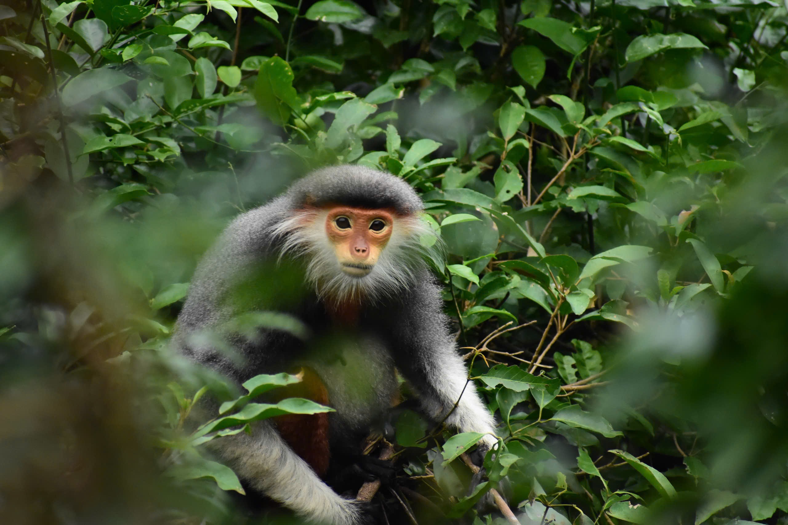 Wildlife exploration