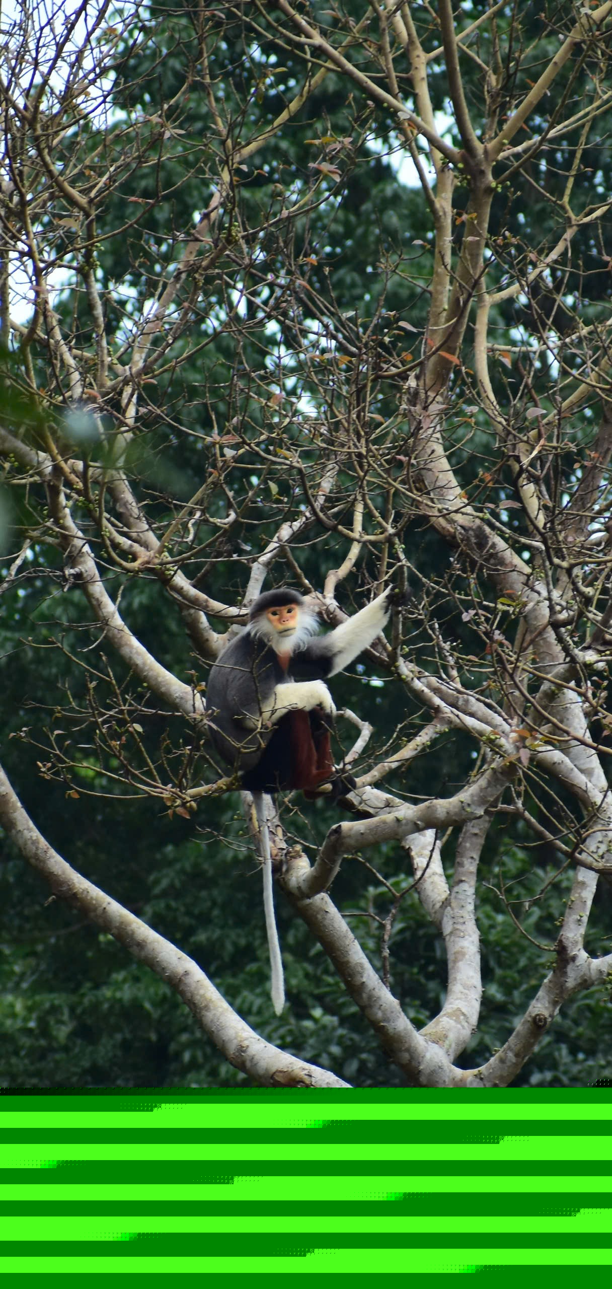 Wildlife watching group